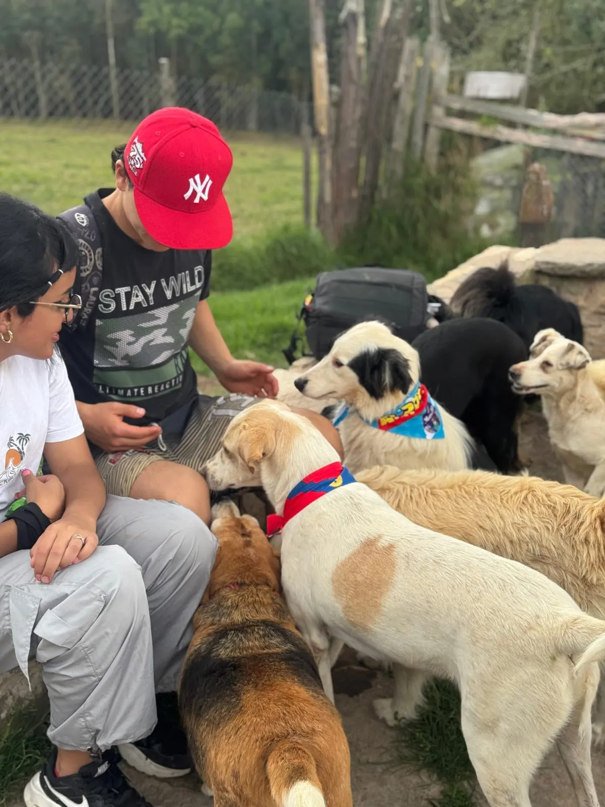 Perrito de la Fundación Protegiendo Huellas