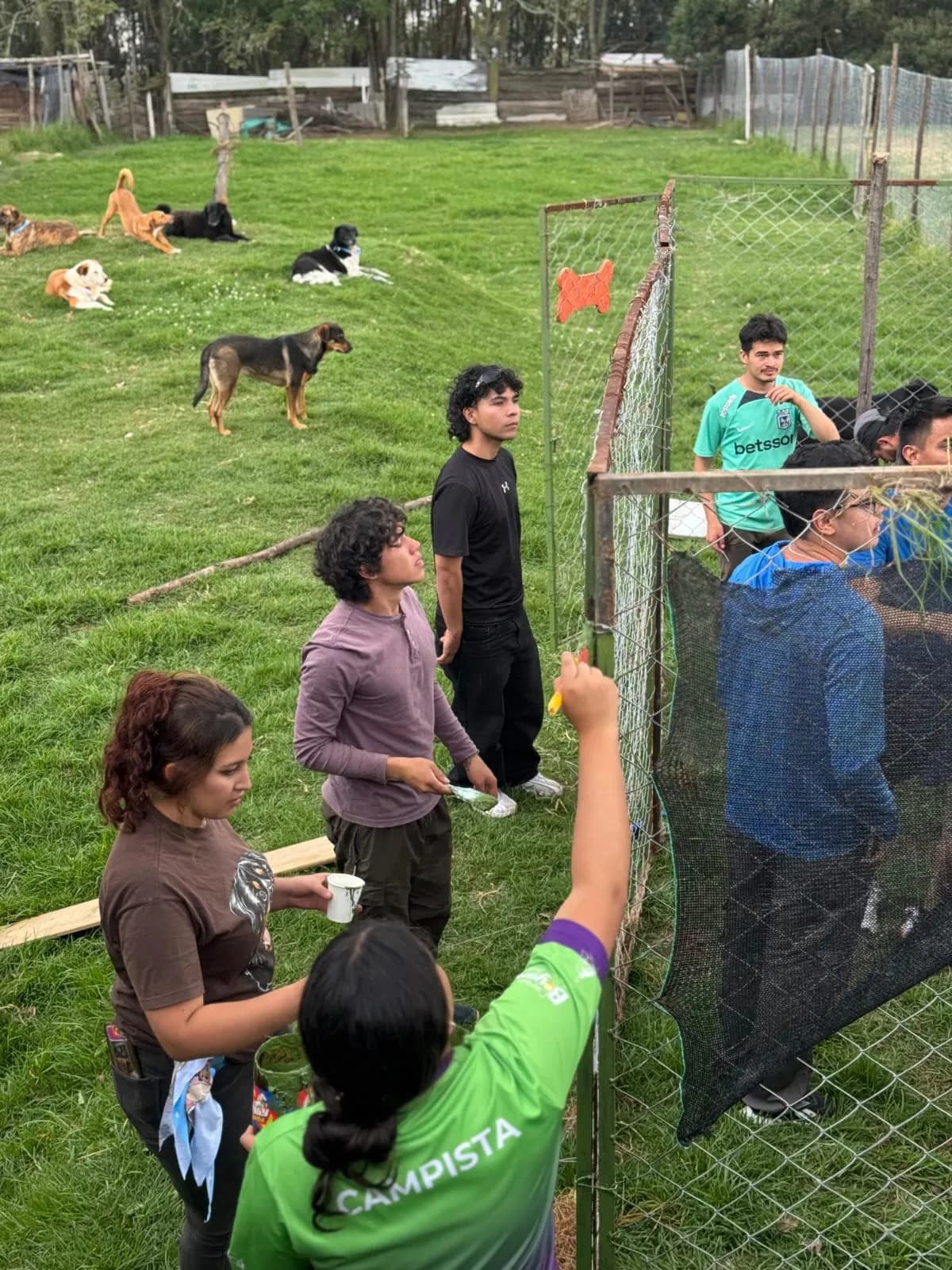 Perrito del refugio de la Fundación Protegiendo Huellas